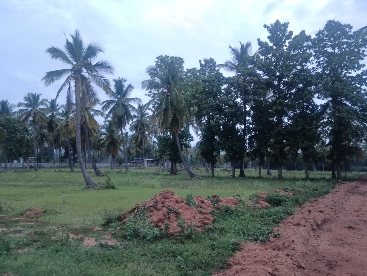 A Scenic Retreat Close to Bengaluru