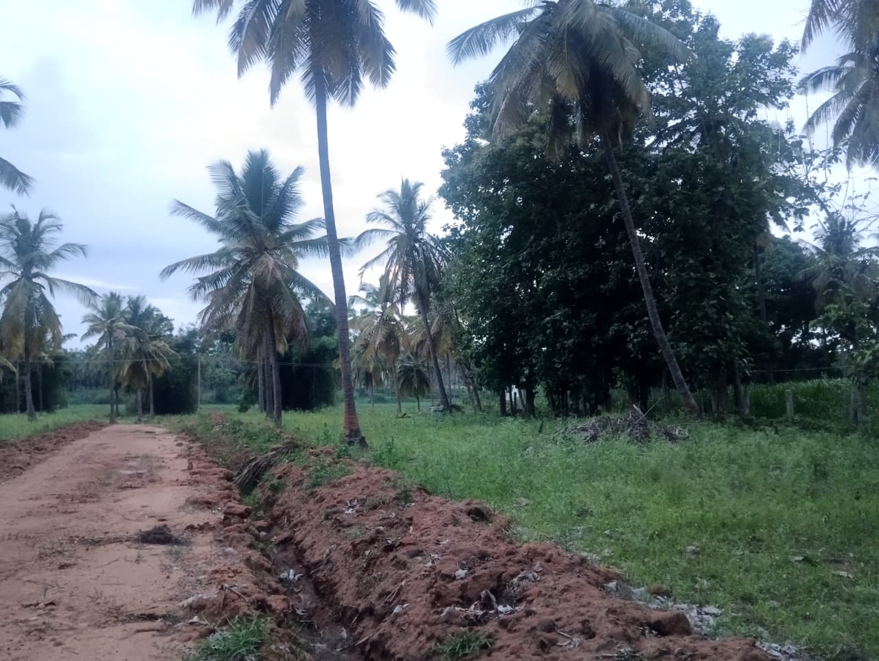 Why Invest in Brickland Vici Farms?