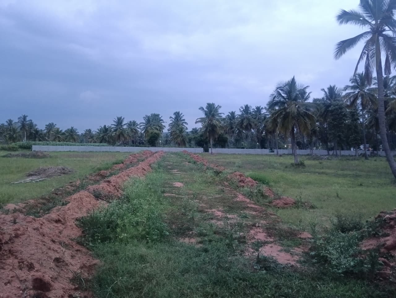 Brickland Vici Farms